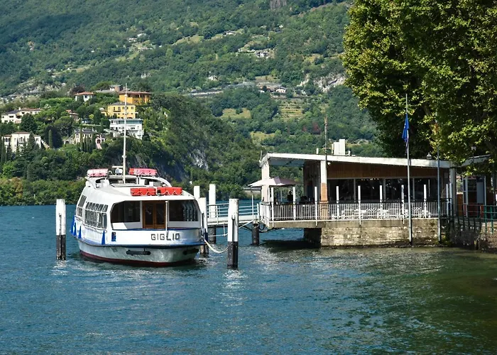 La Maison De Miki